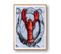 Curiosity - Signature Poster - Lobster - 21x30 Cm