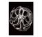 Curiosity - Signature Poster - Octopus - 60x80 Cm