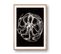 Curiosity - Signature Poster - Octopus - 21x30 Cm