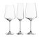 Lot De 12 Verres à Vin Et Champagne Transparent