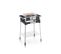 Barbecue Électrique Sur Pieds 3000w Noir/inox - Pg8117