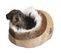 Abri Douillet Minou Beige Pour Chien