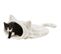 Abri Douillet Nelli 34 X 23 X 55 Cm Blanc Et Taupe Pour Chat