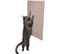 Griffoir Xxl - Tapis En Sisal / Catnip