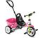 Tricycle Rose Ceety Propulsion Avant Droit