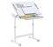 Bureau Enfant Vita Réglable En Hauteur Et Plateau Inclinable, Blanc Et Gris