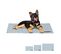 Tapis Rafraichisant Chien Gris