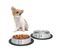 Set 2x Gamelles Pour Chiens Taille S-xl