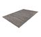 Tapis Moderne Rectangle Intérieur Smarty Gris 80x150