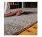 Tapis Moderne Rectangle Intérieur Smarty Gris 120x170