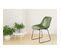 Lot De 2 Chaises Design "cora" 81cm Vert