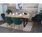 Lot De 6 Chaises De Salle à Manger Hwc-f18 Velours Vert Pieds Dorés