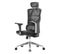 Chaise De Bureau Hwc-j89 Ergonomique Appui-lordose Noir