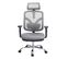 Chaise De Bureau Hwc-j92 Ergonomique Appui-lordose Réglable Gris