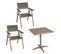 Lot De 2 Chaises De Jardin + Table De Jardin Hwc-j95 Alu Polywood Champagne Gris