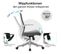 Sihoo Chaise De Bureau Ergonomique Moderne Accoudoir Relevable Gris