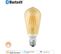 Ampoule Smar+ Bluetooth fil Or Edison 60 W E27 Puissance Variable