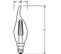 Ampoule LED Flamme Coup De Vent Clair Filament - 2,5w Équivalent 25w E14 - Blanc Chaud