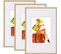 3 X Cadre Photo En Plastique Mat.cadre De Photo Or 30x40 cm New Life Style Br9864gd-3