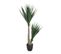Plante Artificielle Yucca Vert