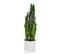 Plante Artificielle Sansevieria Vert