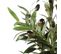 Plante Artificielle Olive I Vert