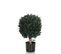 Plante Artificielle Buxus Vert