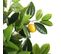 Plante Artificielle Lemon Vert