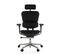 Fauteuil De Bureau Ergohuman Gen2 Noir