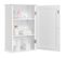 Meuble De Rangement Suspendu Salle De Bain, 35 X 20,7 X 55 Cm Blanc