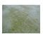 Tapis Moderne Luxor En Viscose - Vert Bouteille - 120x170 Cm