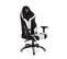 Fauteuil Gamer Promoter Ii Noir/blanc