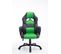 Fauteuil De Bureau / Gaming Pedro Noir / Vert