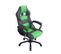 Fauteuil De Bureau / Gaming Pedro Noir / Vert