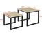 Tables Basses Gigognes - Set De 2 - Lot De 2 Tables D'appoint Empilables, Fbt42-n