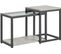 Lot De 2 Tables Basses Gigognes Tables De Salon Set De 2 Tables D'appoint Empilables Gris, Fbt35-hg