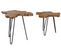 Lot De 2 Tables Basses En Bois Camrose