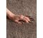 Tapis 160 X 230 Cm Marron Clair Evren