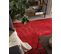 Tapis 160 X 230 Cm Rouge Evren