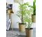 Plante Artificielle Bambou 100 Cm Avec Pot Bambusa Vulgaris
