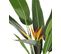 Plante Artificielle Oiseau De Paradis 115 Cm Avec Pot Strelitzia Tree