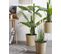 Plante Artificielle Bananier 154 Cm Avec Pot Banana Tree