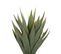 Plante Artificielle 52 Cm Avec Pot Yucca