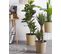 Plante Artificielle Figuier 134 Cm Avec Pot Ficus Elastica