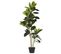 Plante Artificielle Figuier 134 Cm Avec Pot Ficus Elastica