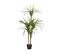 Plante Artificielle Avec Pot 147 Cm Dracaena Anita