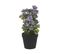 Plante Artificielle 31 Cm Avec Pot Houseleek Plant