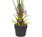 Plante Artificielle 100 Cm Avec Pot Fan Palm