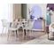 Lot De 4 Chaises De Jardin Blanches Pesaro