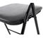 Lot De 4 Chaises Pliables Felix Noir / Noir